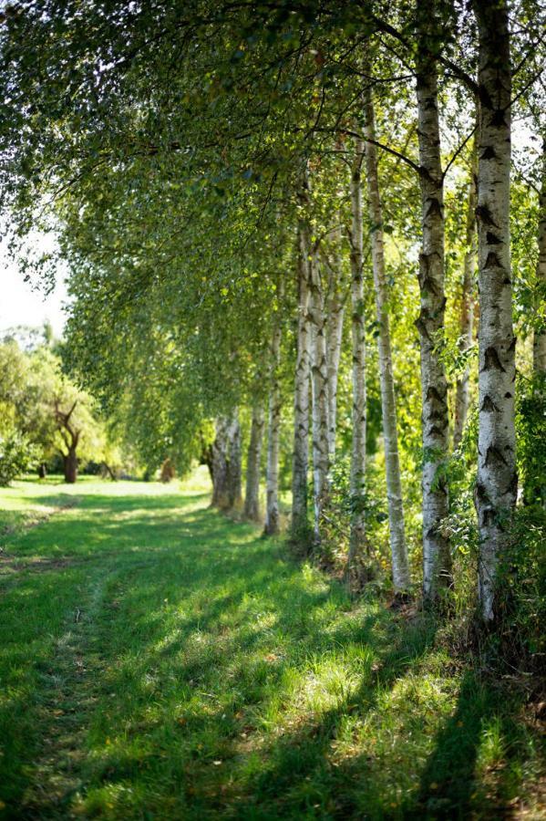 Obere Muehle - Scheunenwohnung Mitten Im Gruenen Baunach Exteriör bild