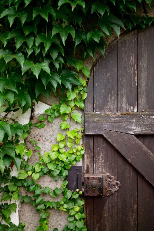 Obere Muehle - Scheunenwohnung Mitten Im Gruenen Baunach Exteriör bild