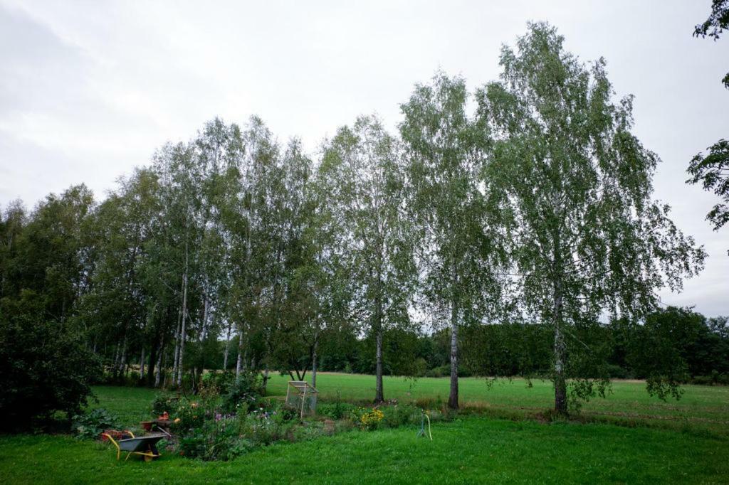 Obere Muehle - Scheunenwohnung Mitten Im Gruenen Baunach Exteriör bild